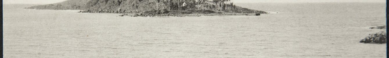 Coastal scene with a rocky seawall in the foreground and a small palm-covered island in the calm sea; crowd gathered along the shore.