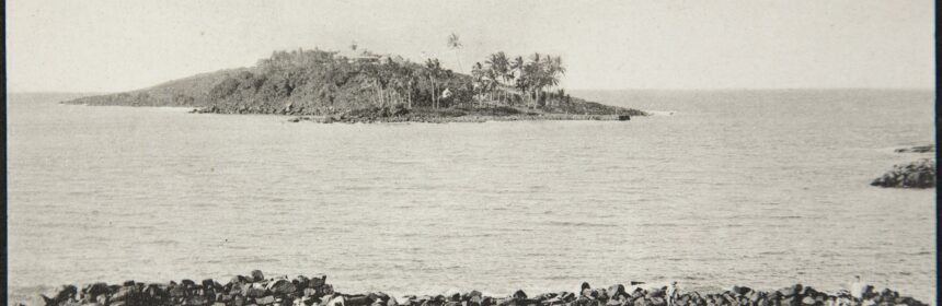 Coastal scene with a rocky seawall in the foreground and a small palm-covered island in the calm sea; crowd gathered along the shore.